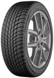 Продаж шин BRIDGESTONE DRIVEGUARD WINTER в Києві Резина BRIDGESTONE DRIVEGUARD WINTER