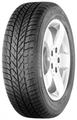 Резина GISLAVED EURO FROST 5